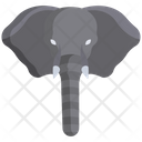 پیش‌نمایش فایل elephant-3103206 از پک چهره حیوان