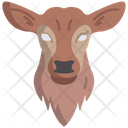 پیش‌نمایش فایل fawn-3103205 از پک چهره حیوان