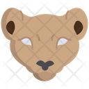 پیش‌نمایش فایل lioness-3103193 از پک چهره حیوان