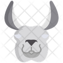 پیش‌نمایش فایل llama-3103192 از پک چهره حیوان