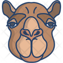 پیش‌نمایش فایل camel-3103250 از پک چهره حیوان