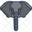 پیش‌نمایش فایل elephant-3103243 از پک چهره حیوان