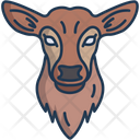 پیش‌نمایش فایل fawn-3103242 از پک چهره حیوان