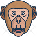 پیش‌نمایش فایل monkey-3103228 از پک چهره حیوان