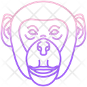 پیش‌نمایش فایل monkey-3103356 از پک چهره حیوان