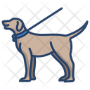پیش‌نمایش فایل dog-3924685 از پک مراقبت حیوان خانگی