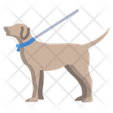پیش‌نمایش فایل dog-3924639 از پک مراقبت حیوان خانگی