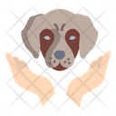 پیش‌نمایش فایل dog-care-3924636 از پک مراقبت حیوان خانگی