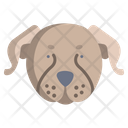 پیش‌نمایش فایل dog-face-3924637 از پک مراقبت حیوان خانگی