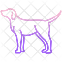 پیش‌نمایش فایل dog-3956137 از پک بدن حیوان