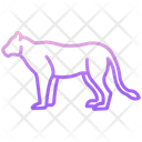 پیش‌نمایش فایل lioness-3956113 از پک بدن حیوان
