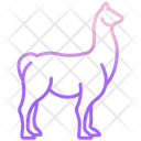 پیش‌نمایش فایل llama-3956114 از پک بدن حیوان