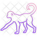 پیش‌نمایش فایل monkey-3956115 از پک بدن حیوان