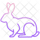 پیش‌نمایش فایل rabbit-3956119 از پک بدن حیوان