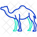پیش‌نمایش فایل camel-3956053 از پک بدن حیوان