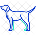 پیش‌نمایش فایل dog-3956057 از پک بدن حیوان