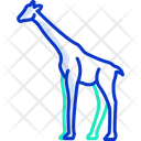 پیش‌نمایش فایل giraffe-3956065 از پک بدن حیوان