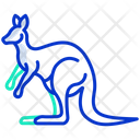 پیش‌نمایش فایل kangaroo-3956072 از پک بدن حیوان