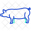 پیش‌نمایش فایل pig-3956037 از پک بدن حیوان