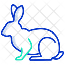 پیش‌نمایش فایل rabbit-3956039 از پک بدن حیوان