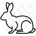 پیش‌نمایش فایل rabbit-3955994 از پک بدن حیوان