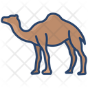 پیش‌نمایش فایل camel-3955968 از پک بدن حیوان