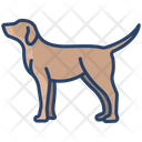 پیش‌نمایش فایل dog-3955972 از پک بدن حیوان