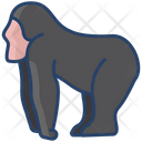 پیش‌نمایش فایل gorilla-3955982 از پک بدن حیوان