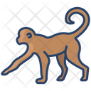پیش‌نمایش فایل monkey-3955950 از پک بدن حیوان