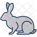 پیش‌نمایش فایل rabbit-3955954 از پک بدن حیوان