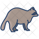 پیش‌نمایش فایل raccon-3955955 از پک بدن حیوان