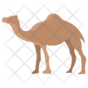 پیش‌نمایش فایل camel-3955941 از پک بدن حیوان