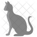 پیش‌نمایش فایل cat-3955942 از پک بدن حیوان