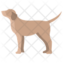 پیش‌نمایش فایل dog-3955945 از پک بدن حیوان