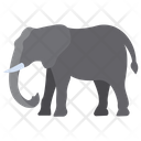 پیش‌نمایش فایل elephant-3955948 از پک بدن حیوان