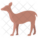 پیش‌نمایش فایل fawn-3955949 از پک بدن حیوان