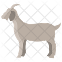 پیش‌نمایش فایل goat-3955913 از پک بدن حیوان