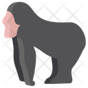 پیش‌نمایش فایل gorilla-3955914 از پک بدن حیوان