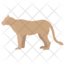 پیش‌نمایش فایل lioness-3955921 از پک بدن حیوان