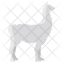 پیش‌نمایش فایل llama-3955922 از پک بدن حیوان
