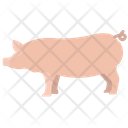 پیش‌نمایش فایل pig-3955925 از پک بدن حیوان