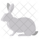 پیش‌نمایش فایل rabbit-3955927 از پک بدن حیوان