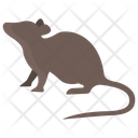 پیش‌نمایش فایل rat-3955929 از پک بدن حیوان