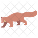 پیش‌نمایش فایل red-panda-3955930 از پک بدن حیوان