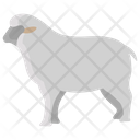 پیش‌نمایش فایل sheep-3955932 از پک بدن حیوان