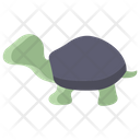 پیش‌نمایش فایل turtle-3955936 از پک بدن حیوان