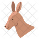 پیش‌نمایش فایل kangaroo-3969536 از پک سر حیوان