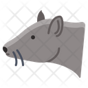 پیش‌نمایش فایل rat-3969547 از پک سر حیوان
