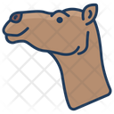 پیش‌نمایش فایل camel-3969598 از پک سر حیوان