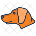 پیش‌نمایش فایل dog-3969603 از پک سر حیوان